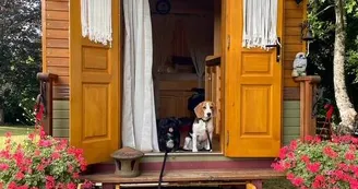 Roulotte la Chouette des Granges - Hébergement insolite limousin