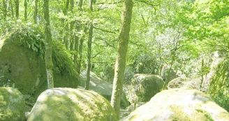Gite "Les Betoulles" à Javerdat en Haute-Vienne (Nouvelle Aquitaine)_18 Gite "Les Betoulles" à Javerdat en Haute-Vienne (Nouvelle Aquitaine)_18
