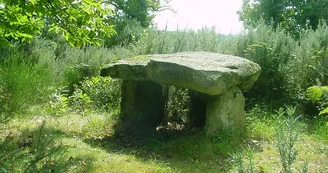 Gite "Les Betoulles" à Javerdat en Haute-Vienne (Nouvelle Aquitaine)_17 Gite "Les Betoulles" à Javerdat en Haute-Vienne (Nouvelle Aquitaine)_17