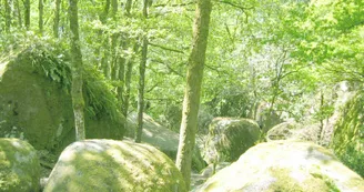 Gite "Les Betoulles" à Javerdat en Haute-Vienne (Nouvelle Aquitaine)_18