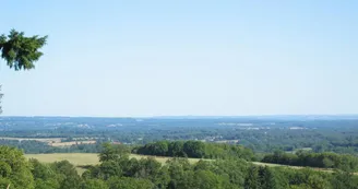Gite "Les Betoulles" à Javerdat en Haute-Vienne (Nouvelle Aquitaine)_13