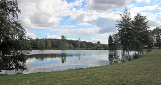 Gite "Le Chambéry" à Saint Brice Sur Vienne en Haute-Vienne _4