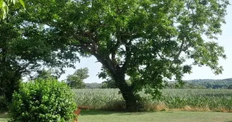 Jardin - Gîte La libellule blanche - Videix