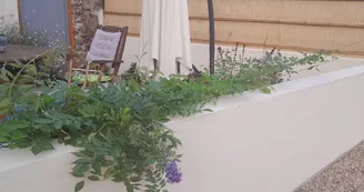 Terrasse gîte La souris verte - Videix