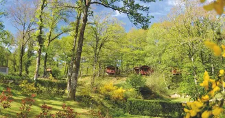 Camping de la Météorite - Rochechouart