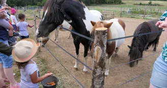 Ferme pédagogique Terr'Happy - Rochechouart