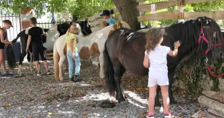 Ferme pédagogique Terr'Happy - Rochechouart
