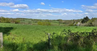 Chemin de Boireau_1