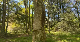 Le sentier de la perrière