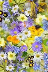 Fête des Plantes, du Jardin et de la Nature