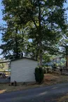 Mobile home, Camping de la Météorite - Rochechouart