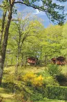 Camping de la Météorite - Rochechouart